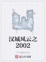 汉城风云之2002